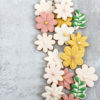 Multi-colored spring flowers