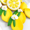 lemon slices and lemons with flowers lemon slices and lemons with flowers