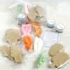 summer treats cookie kit summer treats cookie kit