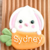 Personalized Bunny holding carrot Personalized Bunny holding carrot