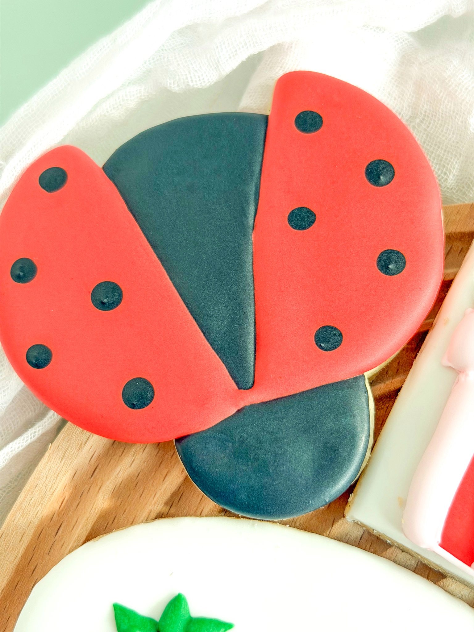 ladybug