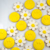 happy face daisies and smiley faces